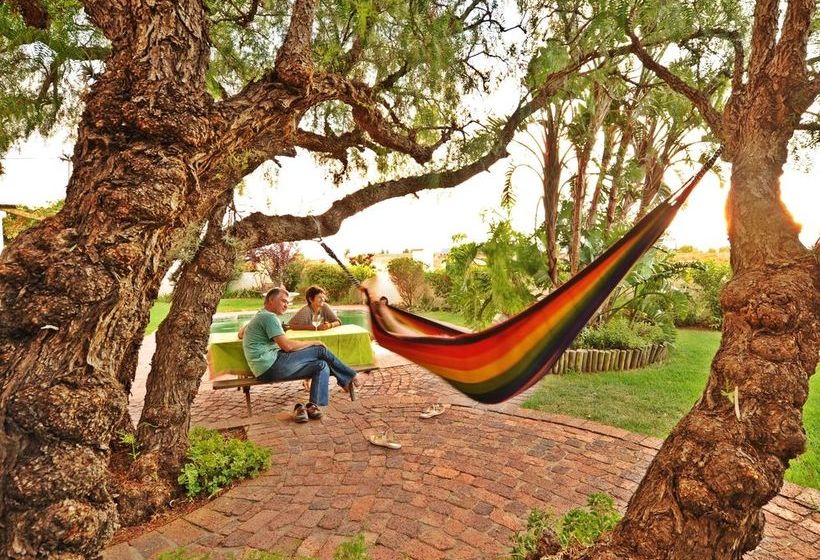 Pension Aan De Doorns Guesthouse 3