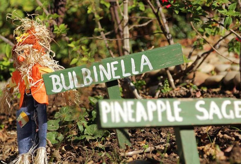 Hostel Backpacker Apartments 19