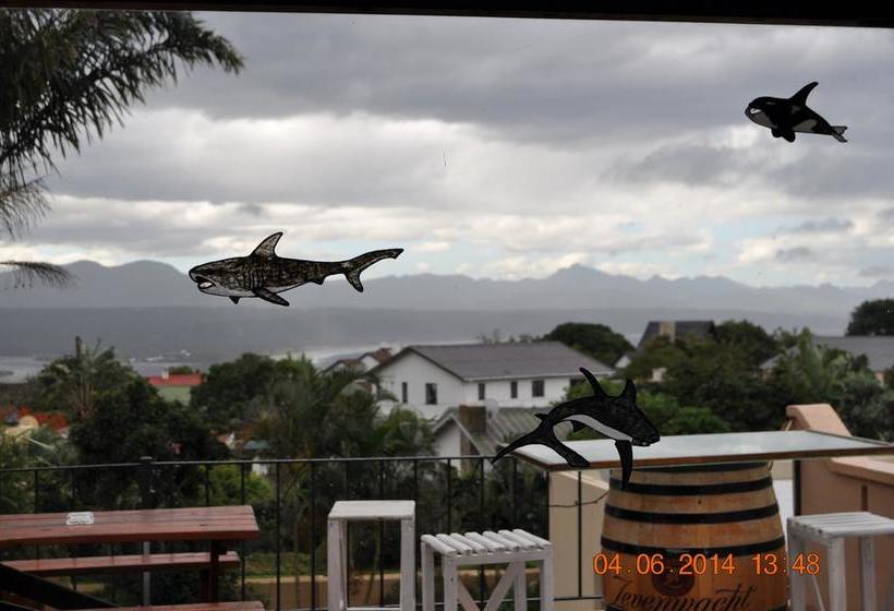 Hostel Amakaya Backpackers 11