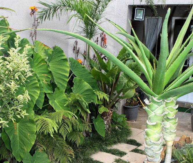 Pension Airport Lodge Guest House 12