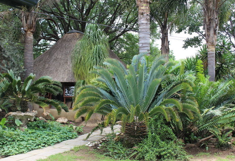 Pension Airport Modjadji Guesthouse 7