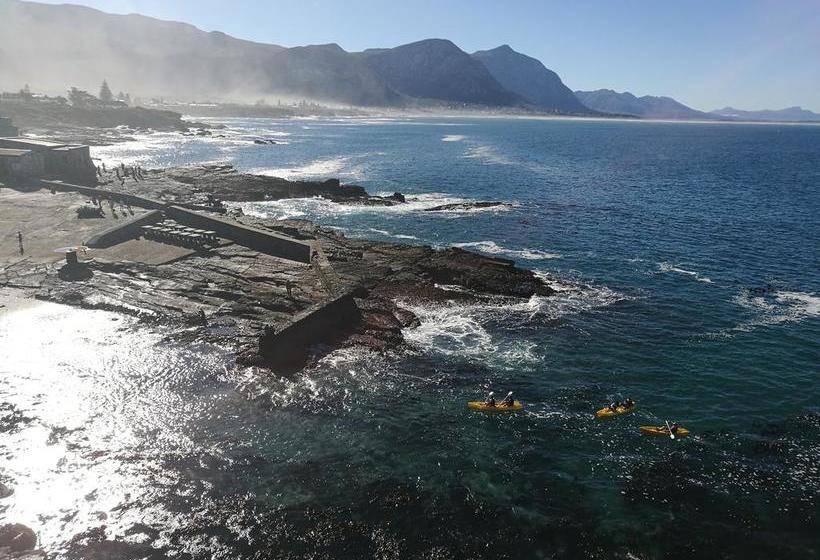 Pension The Potting Shed Guest House 4