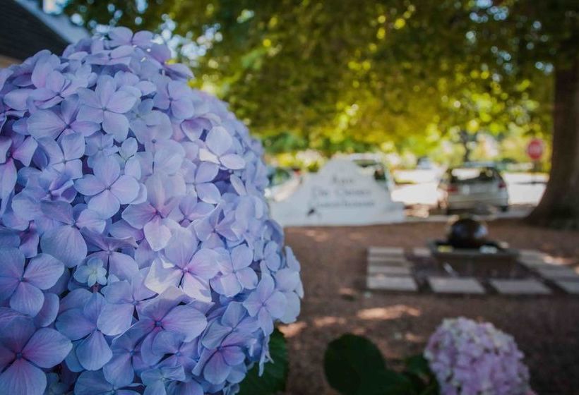 Pension Aan De Oever 1