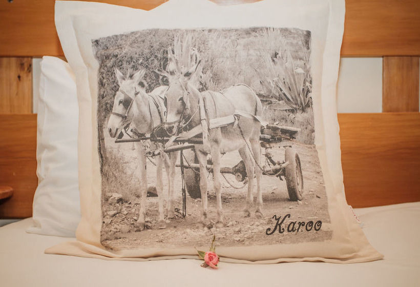 Pension Aan De Oever 13