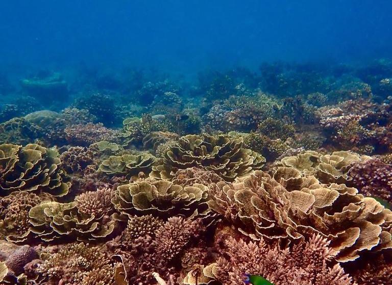 Pension P.d. Beach Resort 16