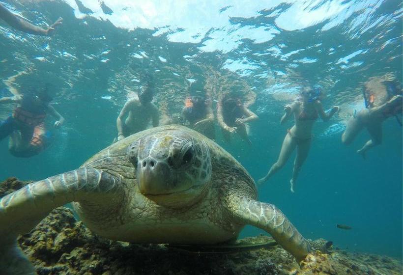 Pension P.d. Beach Resort 20