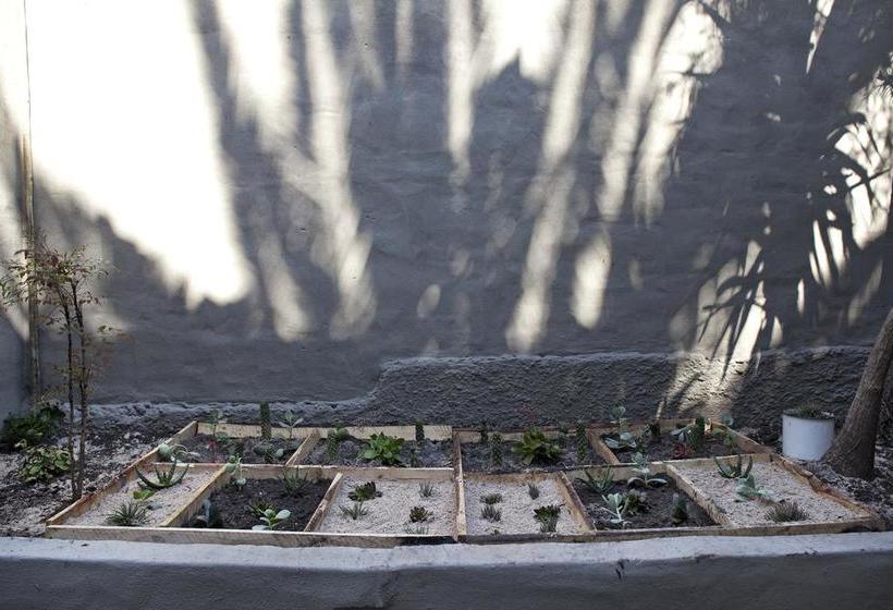 Pension The B.i.g Backpackers 10