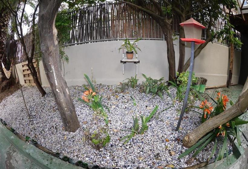 Pension The B.i.g Backpackers 13