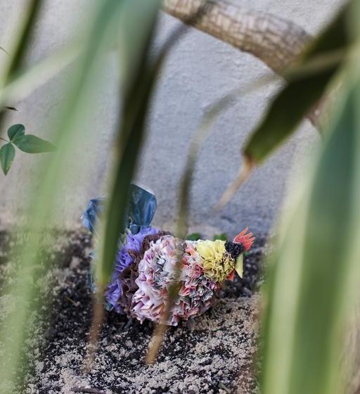 Pension The B.i.g Backpackers 8