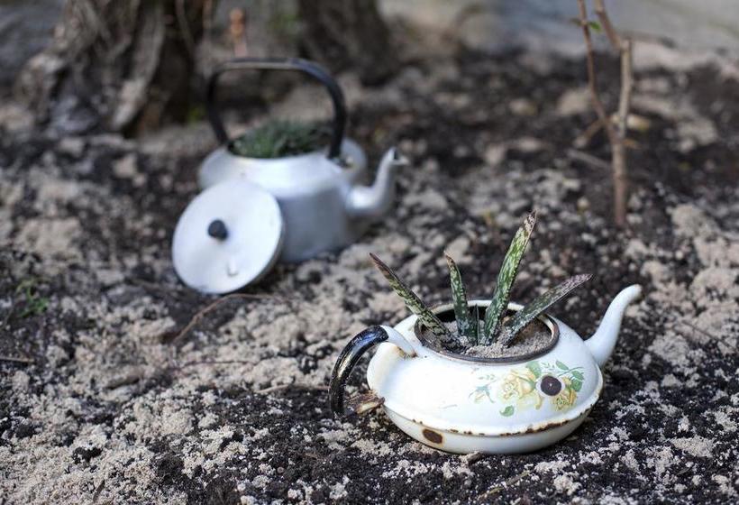 Pension The B.i.g Backpackers 9