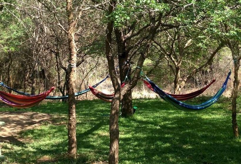 Hotel The Bush Pub & Inn 14