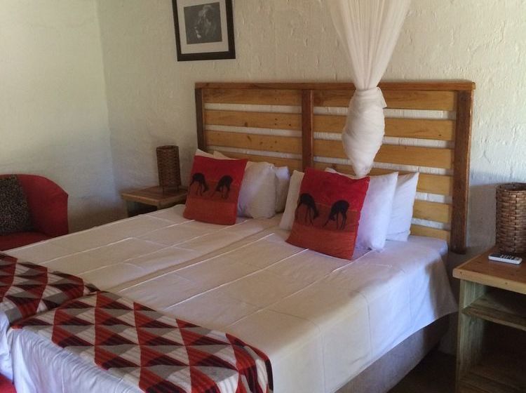 Hotel The Bush Pub & Inn 4