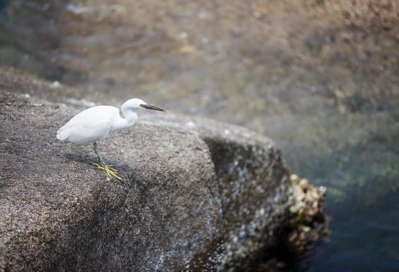 Hotel Mango Bay Boutique Resort 2