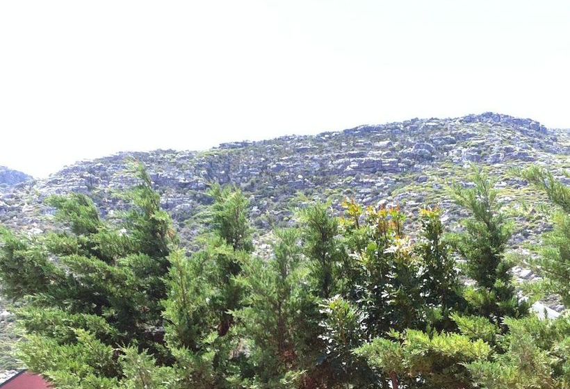 Pension Abington Manor - Fish Hoek Guesthouse 1