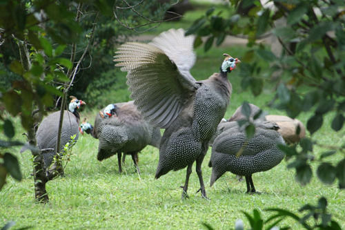 Bed and Breakfast Aquanzi Lodge 13