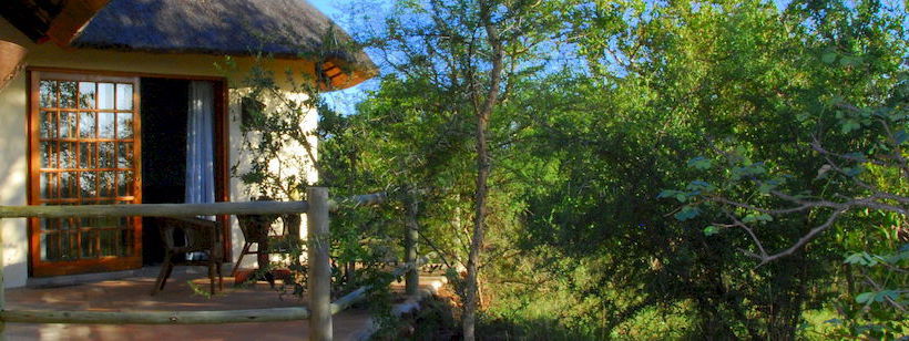 Hotel Mbizi Bush Lodge 15
