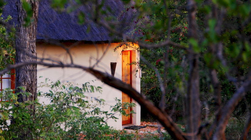 Hotel Mbizi Bush Lodge 16