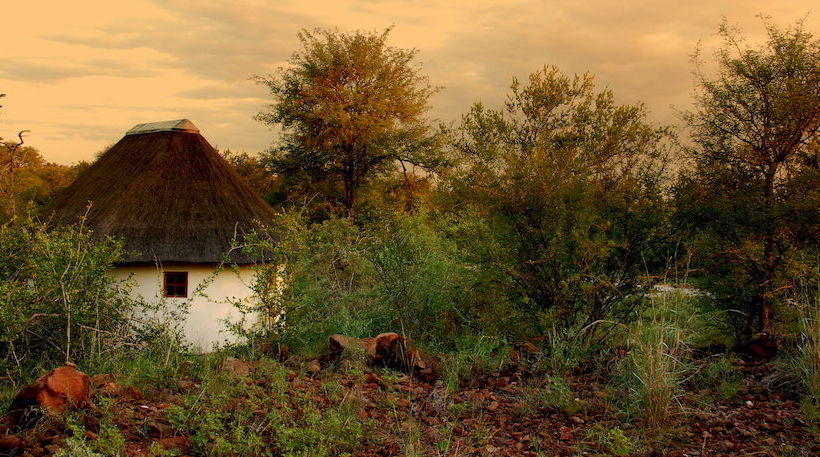 Hotel Mbizi Bush Lodge 18