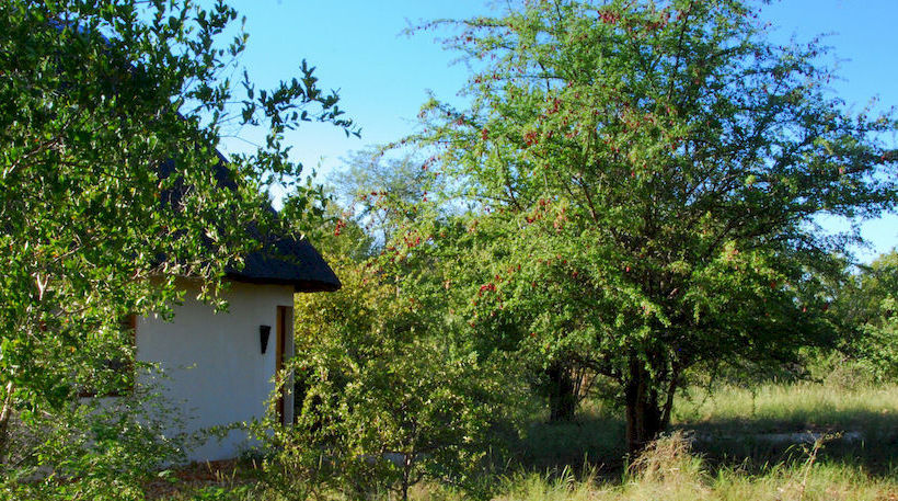 Hotel Mbizi Bush Lodge 19
