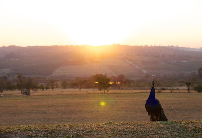 Hotel Destiny Country Lodge 16