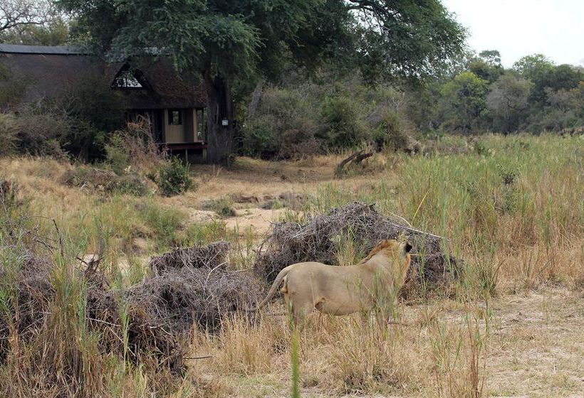 Hotel The River Lodge At Thornybush 12