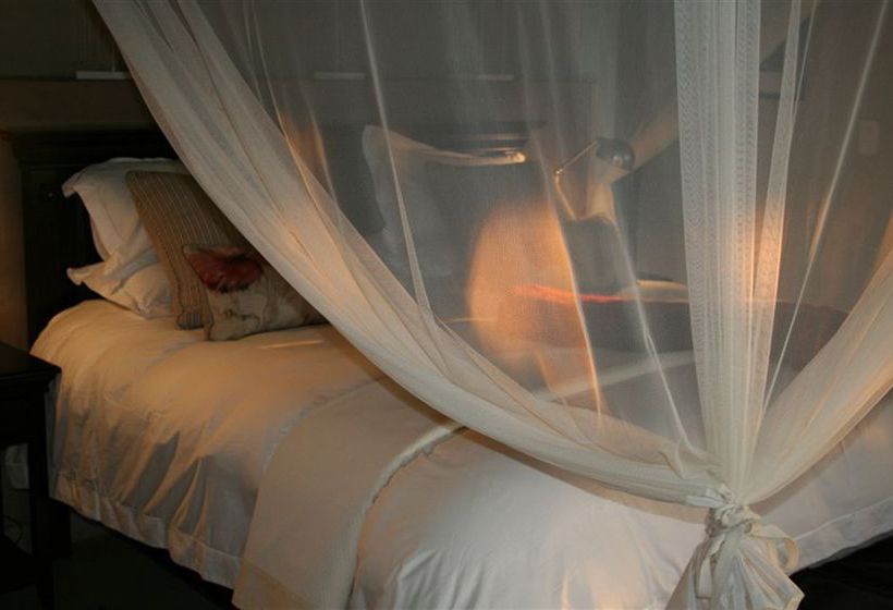 Hotel The River Lodge At Thornybush 15