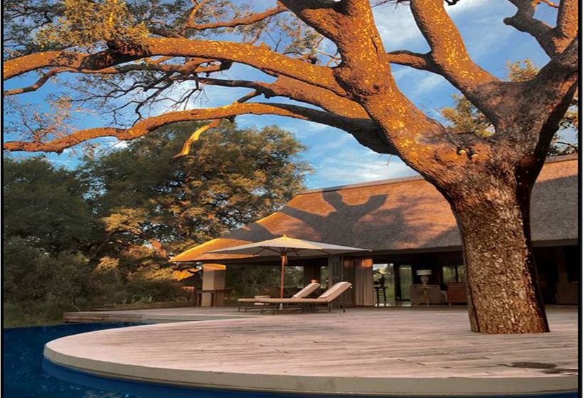 Hotel The River Lodge At Thornybush 3