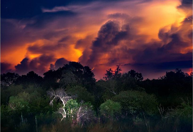 Hotel The River Lodge At Thornybush 4