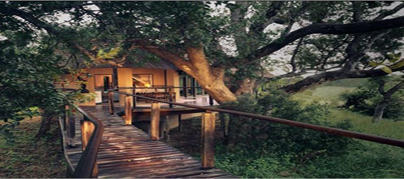 Hotel The River Lodge At Thornybush 5