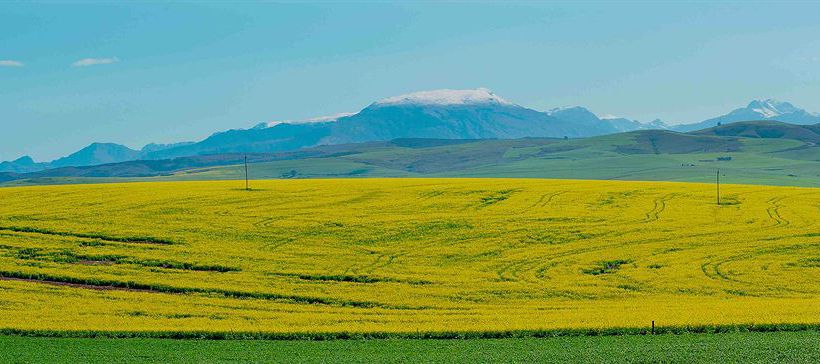 Bed and Breakfast Athenian Villa 13