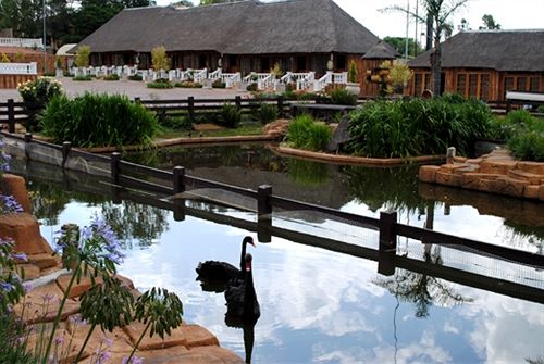 Pension Flamingo's Nest Guest House & Conference Centre 18