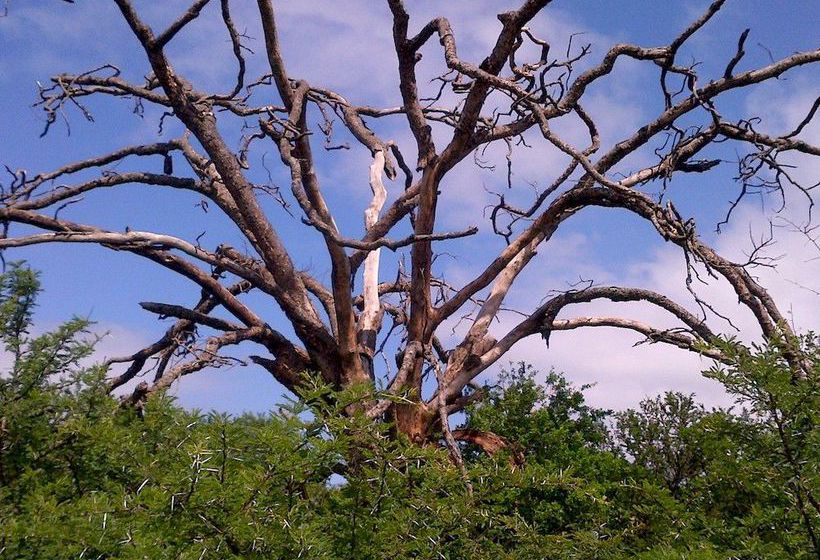 Hotel Spionkop Lodge 5
