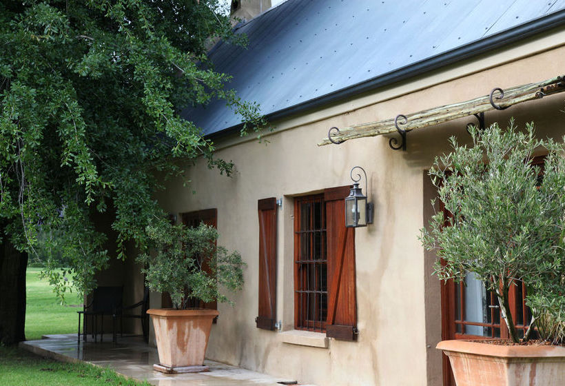 La Petite Dauphine 16