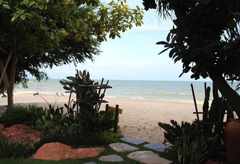 Hotel Casa Papaya 12