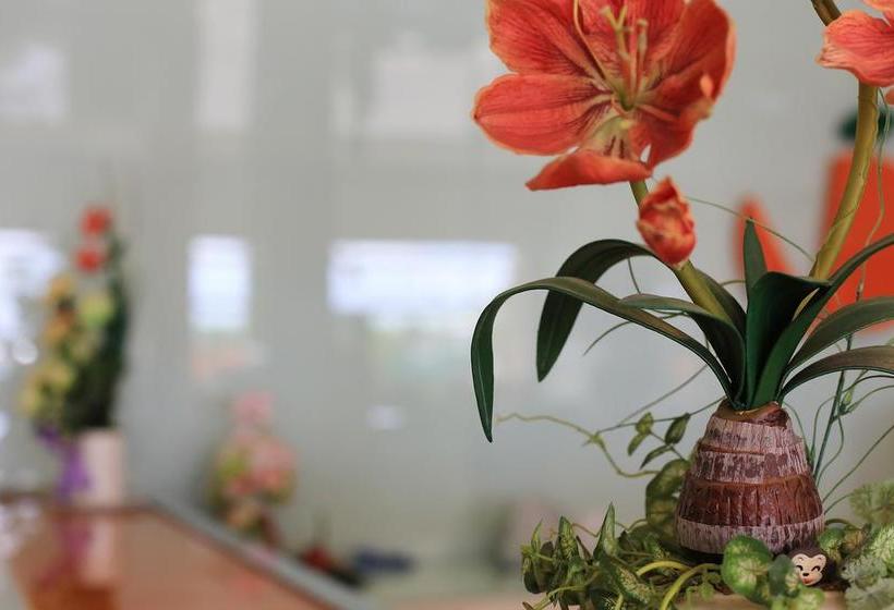 Hotel The Original Orange Rooms 2