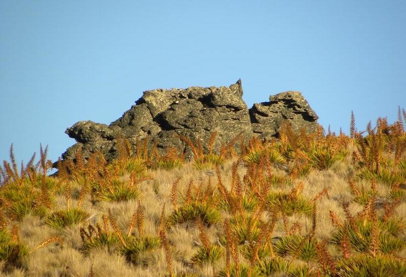 Motel Alexandra Motor Lodge 12