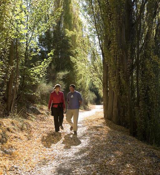 Motel Alexandra Motor Lodge 9