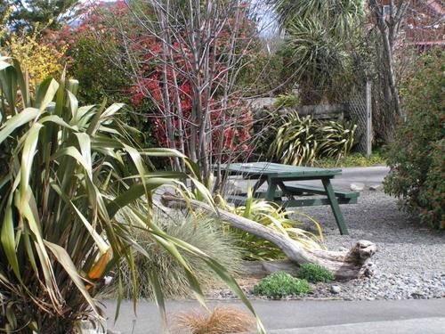 Hostel Jack In The Green Backpackers 18