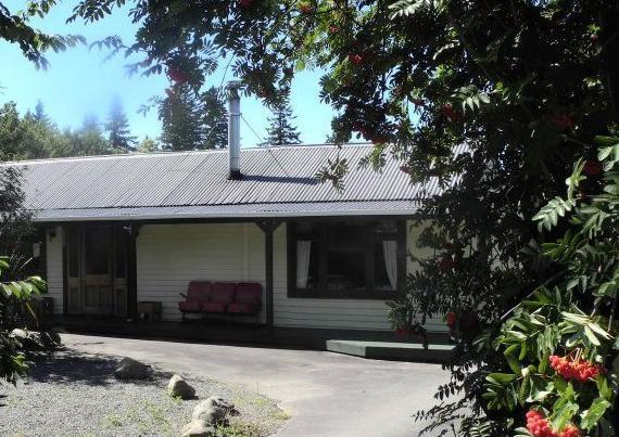 Hostel Jack In The Green Backpackers 2