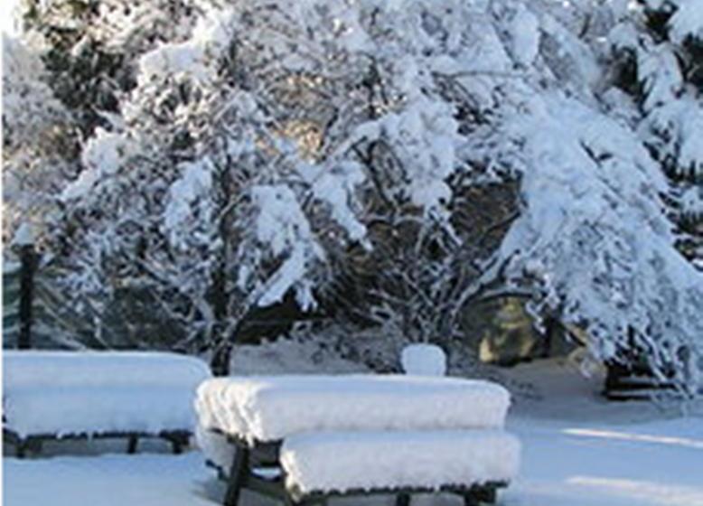 Hostel Jack In The Green Backpackers 5