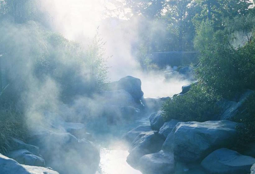 Hostel Jack In The Green Backpackers 6