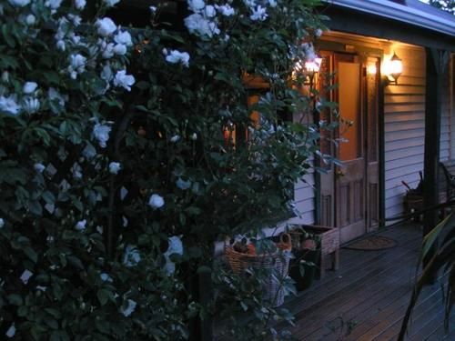 Hostel Jack In The Green Backpackers 8