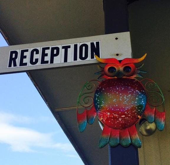 Fiesta Court Motel 7