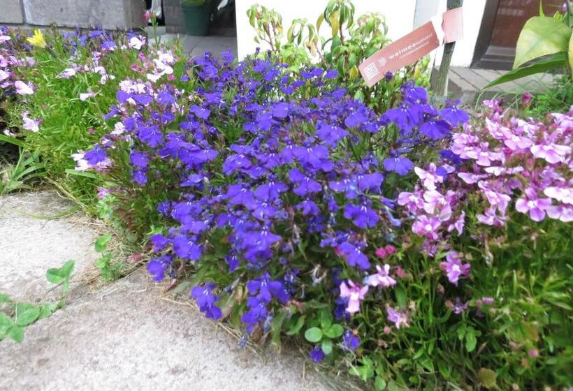 Motel Mill Lodge Motor Inn 7