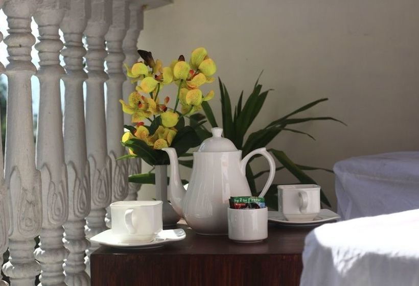 Hotel Mayal Retreat 9