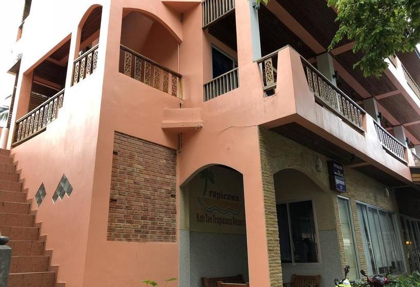 Hotel Koh Tao Tropicana Resort 14