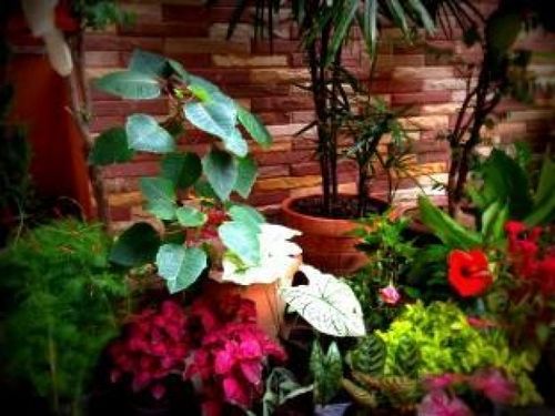 Hotel Somjai Place Ayutthaya 16