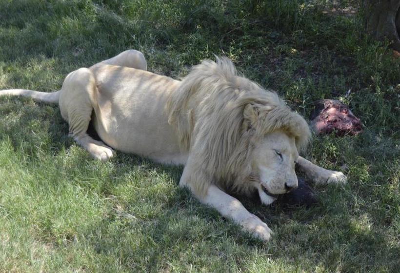 Pension Lakeview Boutique Hotel & Conference Centre 18