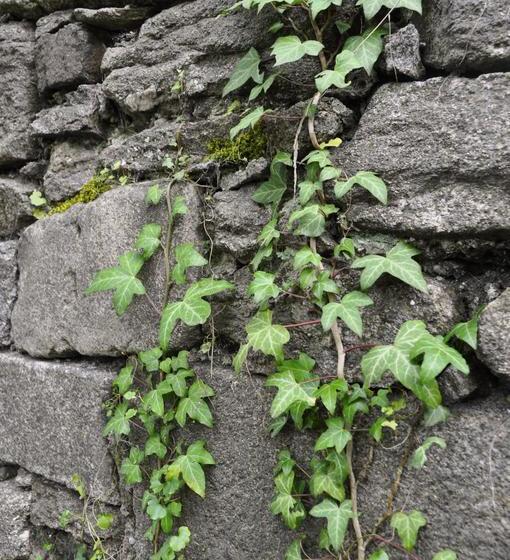 Art Hotel & Hostel 15