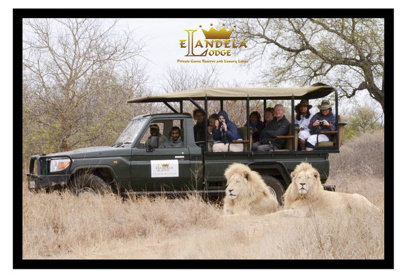 Hotel Elandela Private Game Reserve & Luxury Lodge Limpopo